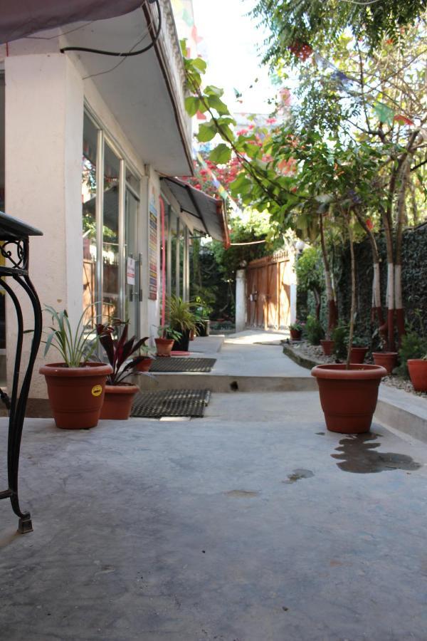 Hostel Himalaya Kathmandu Ngoại thất bức ảnh